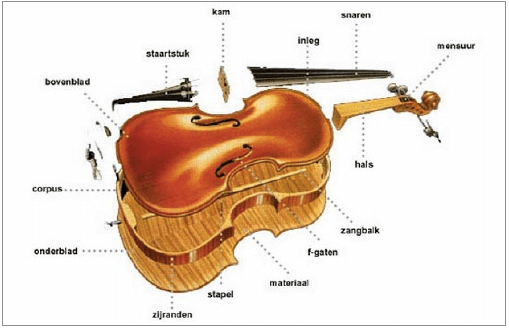 De onderdelen van de viool bij het bouwen van de viool